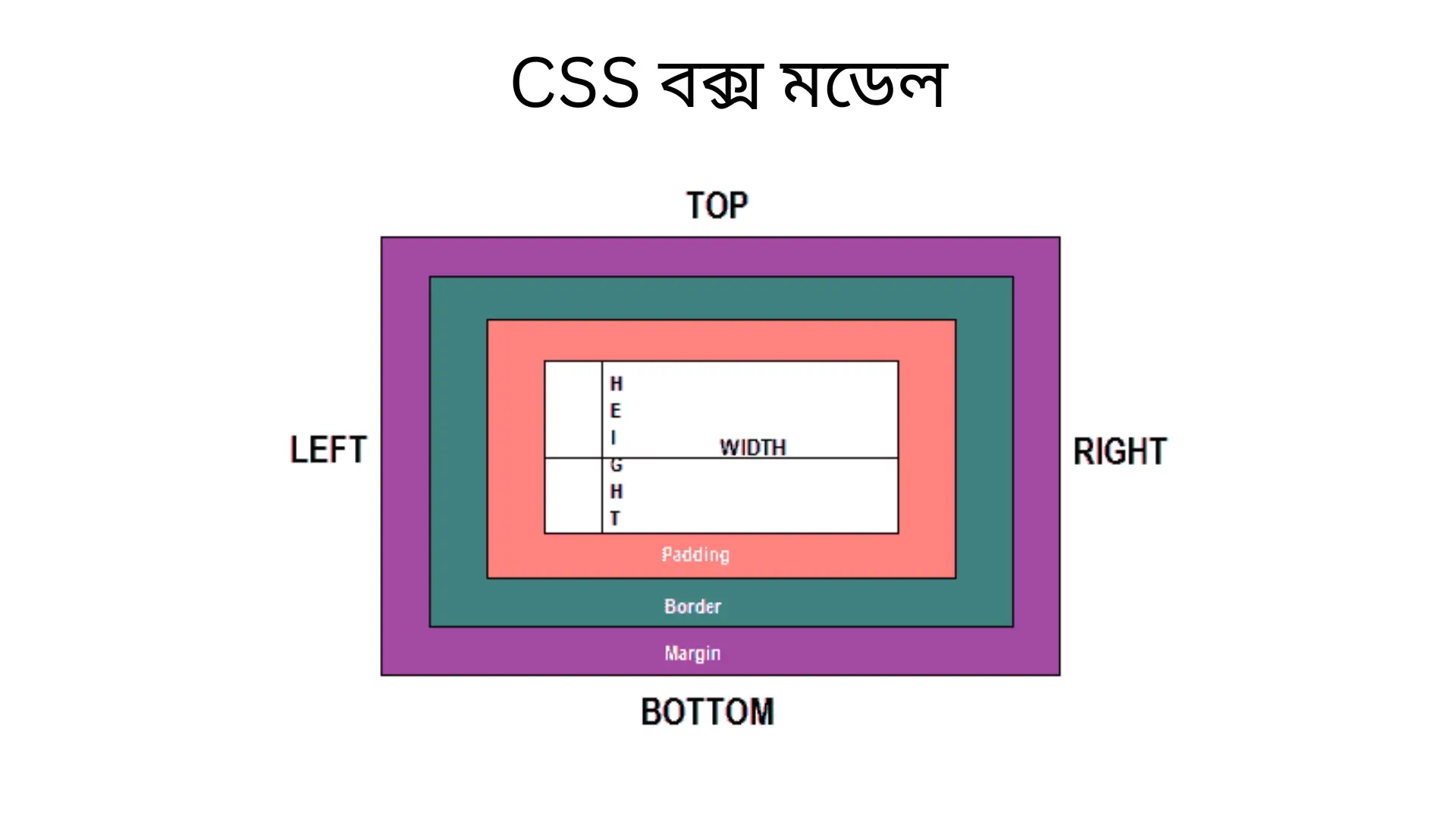 CSS বক্স মডেল